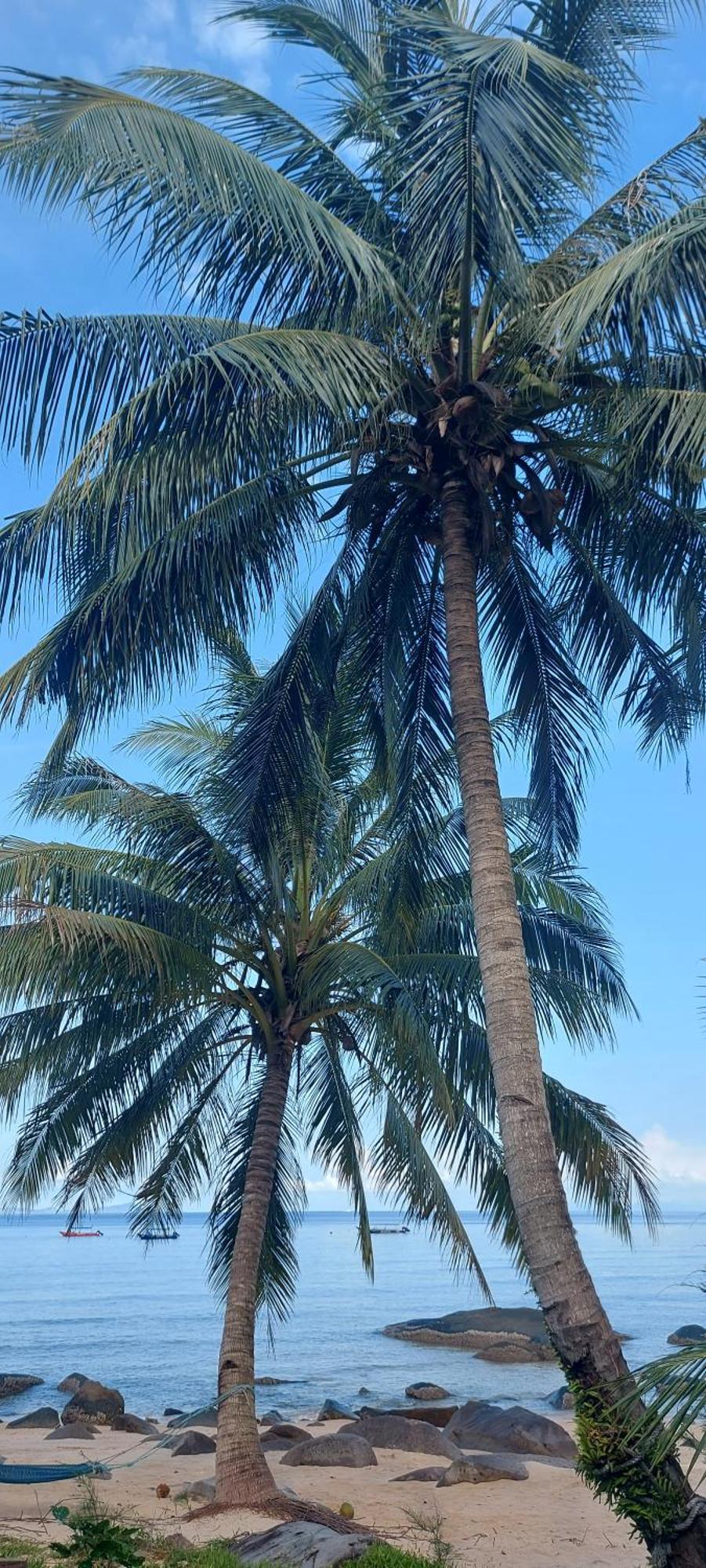 Home Away Tioman Island Kampung Genting Esterno foto