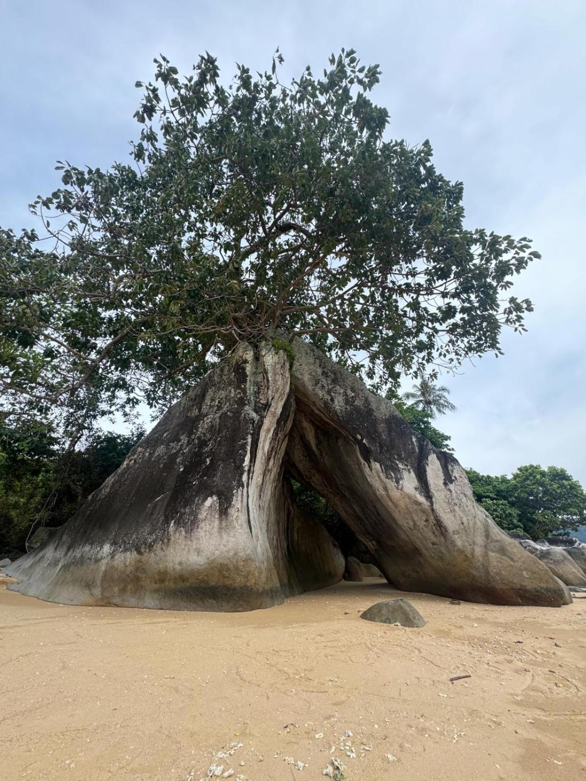 Home Away Tioman Island Kampung Genting Esterno foto